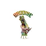 Broomie LLC